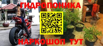 прущие крисы Апшеронск