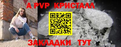 прущие крисы Апшеронск