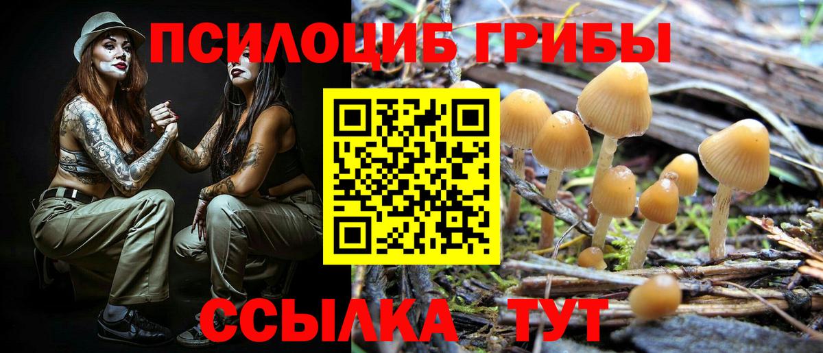 Артёмовский  Псилоцибиновые грибы ЛСД  Псилоцибиновые грибы MAGIC MUSHROOMS  Вход с VPN 