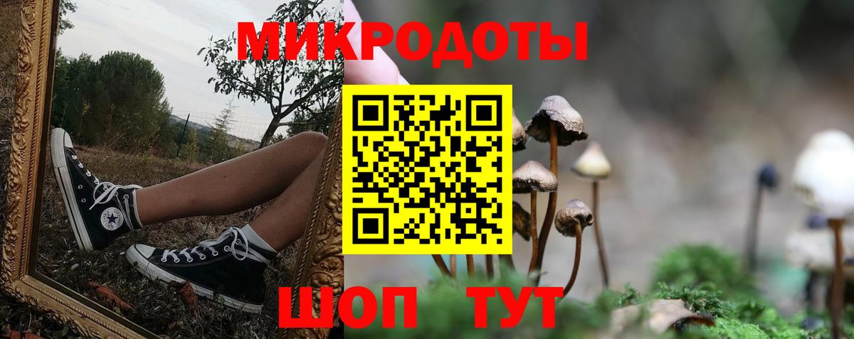 Галлюциногенные грибы MAGIC MUSHROOMS Артёмовский